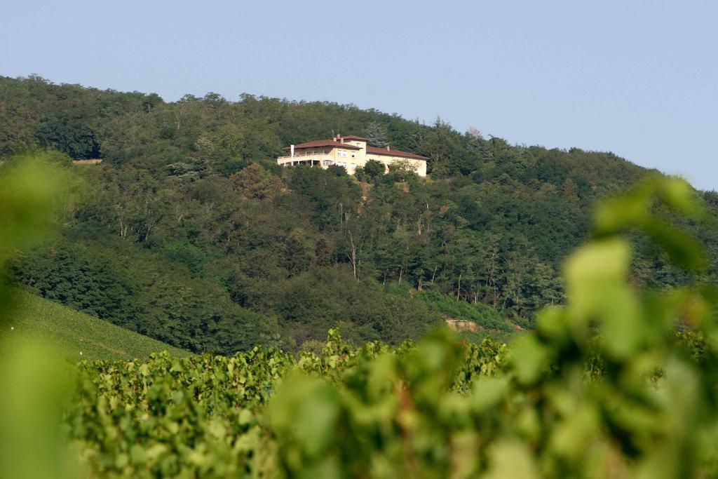 Auberge Les Hauts De Chenas Exterior photo